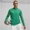 PUMA teamFINAL 1/4-Zip Trainings-Top Herren 05 - sport green/puma silver S