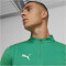 PUMA teamFINAL 1/4-Zip Trainings-Top Herren 05 - sport green/puma silver S