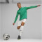 PUMA teamFINAL 1/4-Zip Trainings-Top Herren 05 - sport green/puma silver L