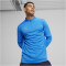 PUMA teamFINAL 1/4-Zip Trainings-Top Herren 02 - ignite blue/puma silver S