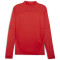 PUMA teamFINAL 1/4-Zip Trainings-Top Herren 01 - PUMA red/PUMA silver M