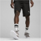 PUMA teamFINAL Casuals Shorts Herren 03 - PUMA black/PUMA silver XL