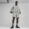 PUMA teamFINAL Casuals Kapuzenjacke Herren 33 - medium gray heather/puma silver XL