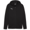 PUMA teamFINAL Casuals Kapuzenjacke Herren 03 - PUMA black/PUMA silver L