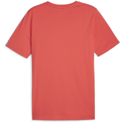 PUMA Handball T-Shirt Herren 09 - active red/sugared almond S