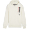 PUMA Handball Hoodie Herren 08 - sugared almond/puma black S
