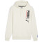 PUMA Handball Hoodie Herren 08 - sugared almond/puma black XL
