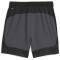 PUMA King Pro Fußballshorts Herren 05 - strong gray/puma black M
