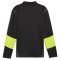 PUMA King Pro 1/4-Zip Top Herren 05 - PUMA black/electric lime M