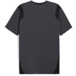 PUMA King Pro Trikot Herren 05 - strong gray/puma black L