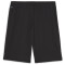 PUMA teamLIGA Training Trainingsshorts 2 57 - PUMA black/sun stream XL