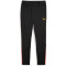 PUMA teamLIGA Trainingsshose 57 - PUMA black/sun stream M