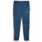 PUMA teamLIGA Trainingsshose 56 - ocean tropic/poison pink M
