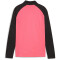 PUMA teamLIGA 1/4-Zip Top Kinder 57 - sunset glow/puma black 164