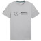PUMA Mercedes-AMG Petronas Motorsport Essentials Logo T-Shirt Herren 02 - team silver M