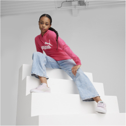 PUMA Essentials Logo Hoodie TR M&auml;dchen 48 - garnet rose 176