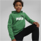 PUMA Ess+ Metallic 2 Col Big Logo Fleece-Hoodie Jungen 76 - archive green 140
