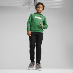 PUMA Ess+ Metallic 2 Col Big Logo Fleece-Hoodie Jungen 76 - archive green 152