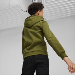 PUMA Essentials Big Logo Fleece-Hoodie Jungen 76 - olive green 176