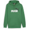 PUMA Ess+ Metallic 2 Col Big Logo Fleece-Hoodie Herren 86 - archive green L