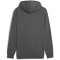 PUMA Essentials Big Logo Fleece-Hoodie Herren 69 - mineral gray S