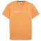 PUMA Concept Trainingsshirt Herren 46 - clementine M