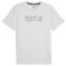 PUMA Train Graphic Laufshirt Herren 42 - silver mist L