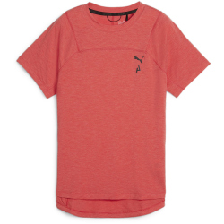 PUMA Seasons Wool kurzarm Laufshirt Damen 25 - active red XS