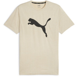 PUMA Train Favorite Heather Cat Trainingsshirt Herren 90...