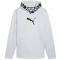 PUMA PWR Fleece Trainings-Hoodie Herren 99 - silver mist M