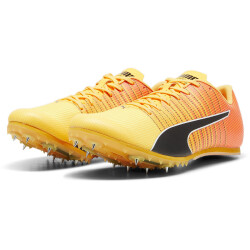 PUMA evoSPEED Future Jump 6 Leichtathletikschuhe 01 - sun...