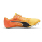 PUMA evoSPEED Brush 6 Leichtathletikschuhe 01 - sun stream/sunset glow/puma black 37