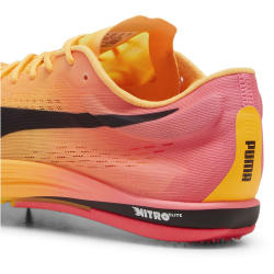 PUMA evoSPEED Long Distance Nitro Elite 2 Leichtathletikschuhe 01 - sun stream/sunset glow/puma black 36