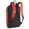 PUMA teamGOAL Rucksack 03 - PUMA red/PUMA black
