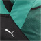 PUMA teamGOAL Teambag Spielertasche Gr. L 04 - sport green/puma black