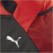 PUMA teamGOAL Teamtasche Gr. M 03 - PUMA red/PUMA black