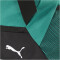 PUMA teamGOAL Teamtasche S 04 - sport green/puma black