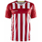 CRAFT Progress 2.0 Stripe Trikot Herren
