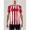 CRAFT Progress 2.0 Stripe Trikot Herren