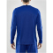CRAFT Progress langarm Basketballtrikot Herren
