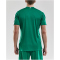 CRAFT Progress Contrast Trikot Herren 1651 - team green XS