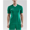 CRAFT Progress Contrast Trikot Herren 1651 - team green XS