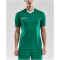 CRAFT Progress Contrast Trikot Herren 1651 - team green 3XL