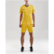 CRAFT Progress Contrast Trikot Herren 3552 - sweden yellow/club cobolt XL