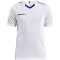 CRAFT Progress Contrast Trikot Herren 5900 - white/club cobolt XS