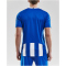 CRAFT Progress Stripe Trikot Herren 1345 - royal blue XS
