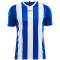 CRAFT Progress Stripe Trikot Herren 1345 - royal blue S