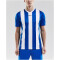 CRAFT Progress Stripe Trikot Herren 1345 - royal blue S