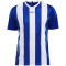 CRAFT Progress Stripe Trikot Herren 1346 - club cobolt S