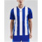 CRAFT Progress Stripe Trikot Herren 1346 - club cobolt S